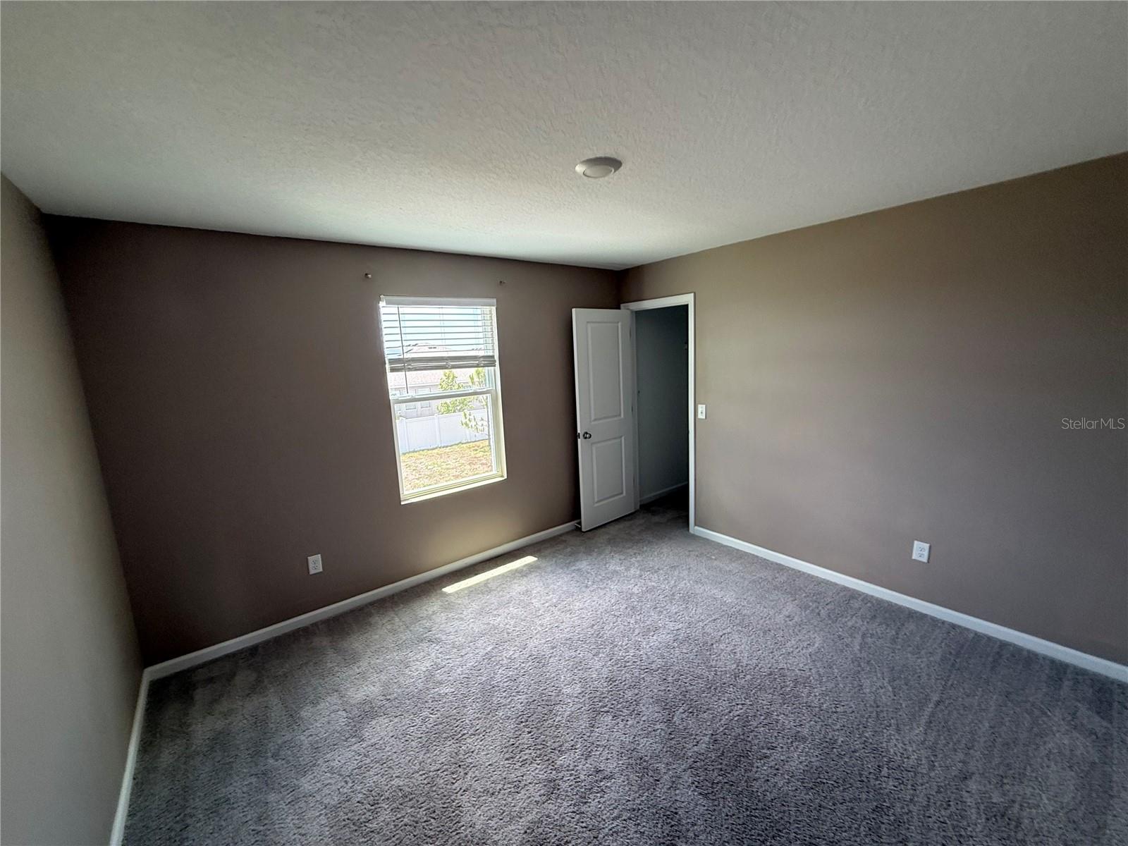 462 SPOTTED SLIPPER PL — photo 14