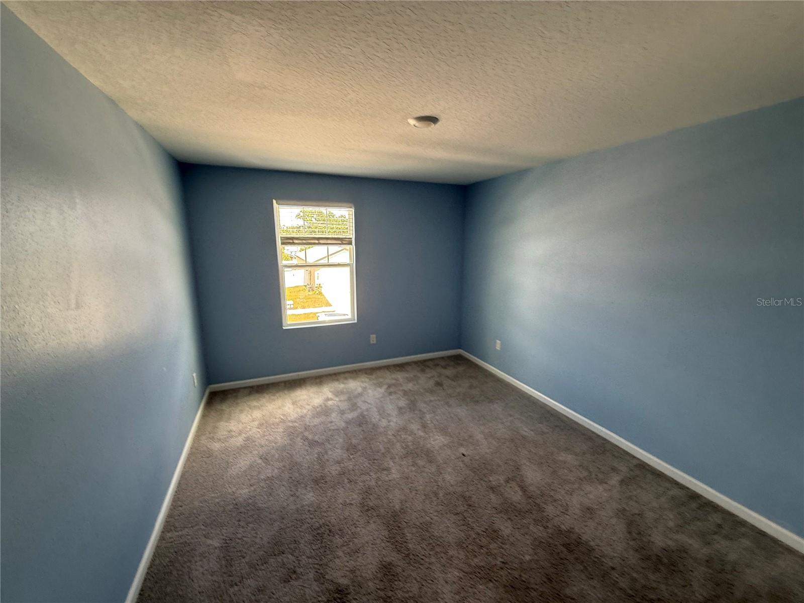 462 SPOTTED SLIPPER PL — photo 16