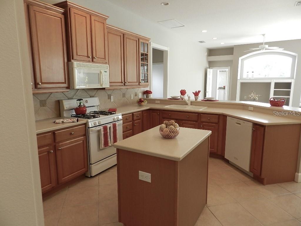 13335 PURPLE FINCH CIR — photo 19