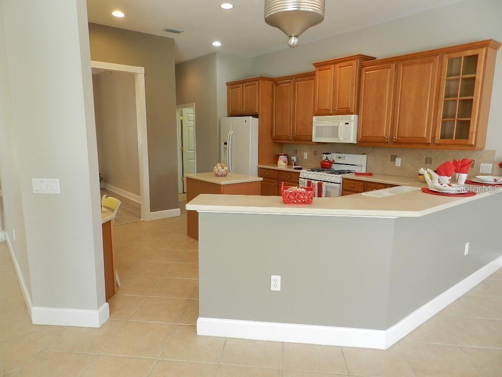 13335 PURPLE FINCH CIR — photo 28