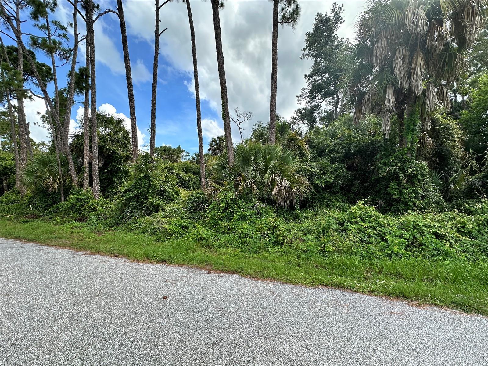 RUFUS RD — photo 4