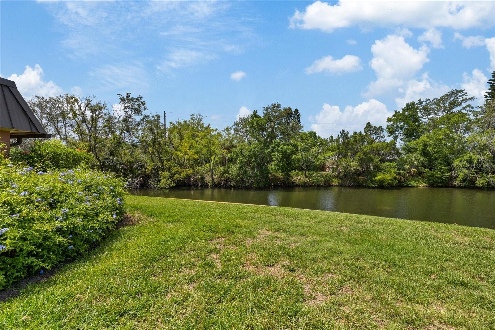 4347 SUMMERSUN DR — photo 39
