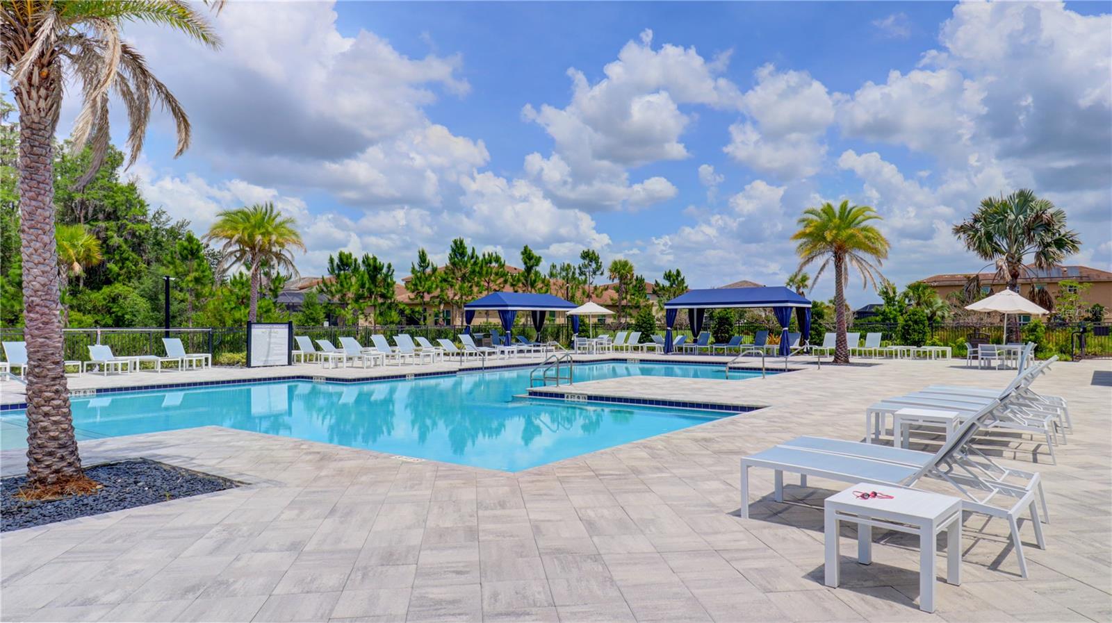 3338 GREAT BANYAN WAY — photo 49
