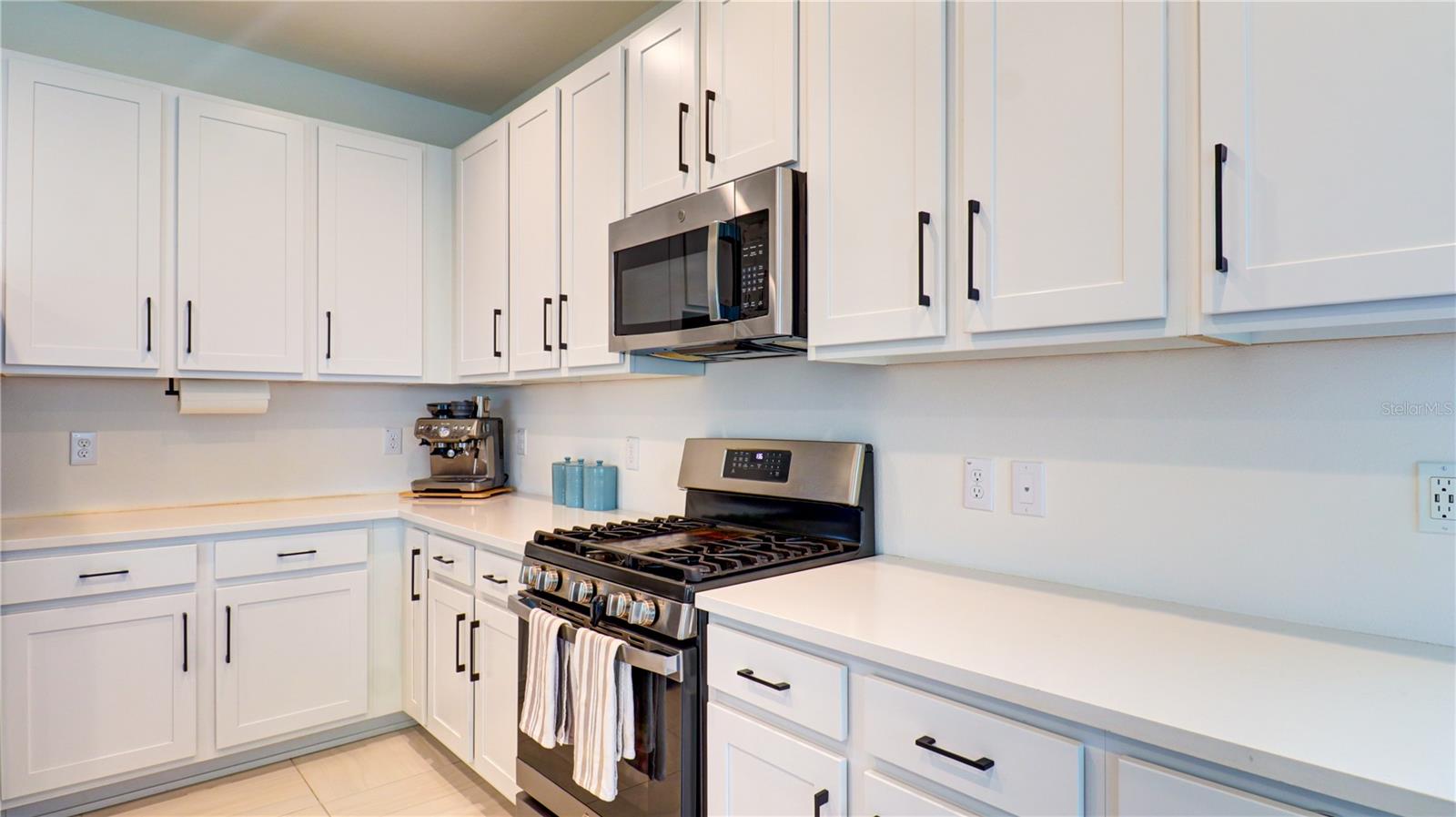 3338 GREAT BANYAN WAY — photo 19