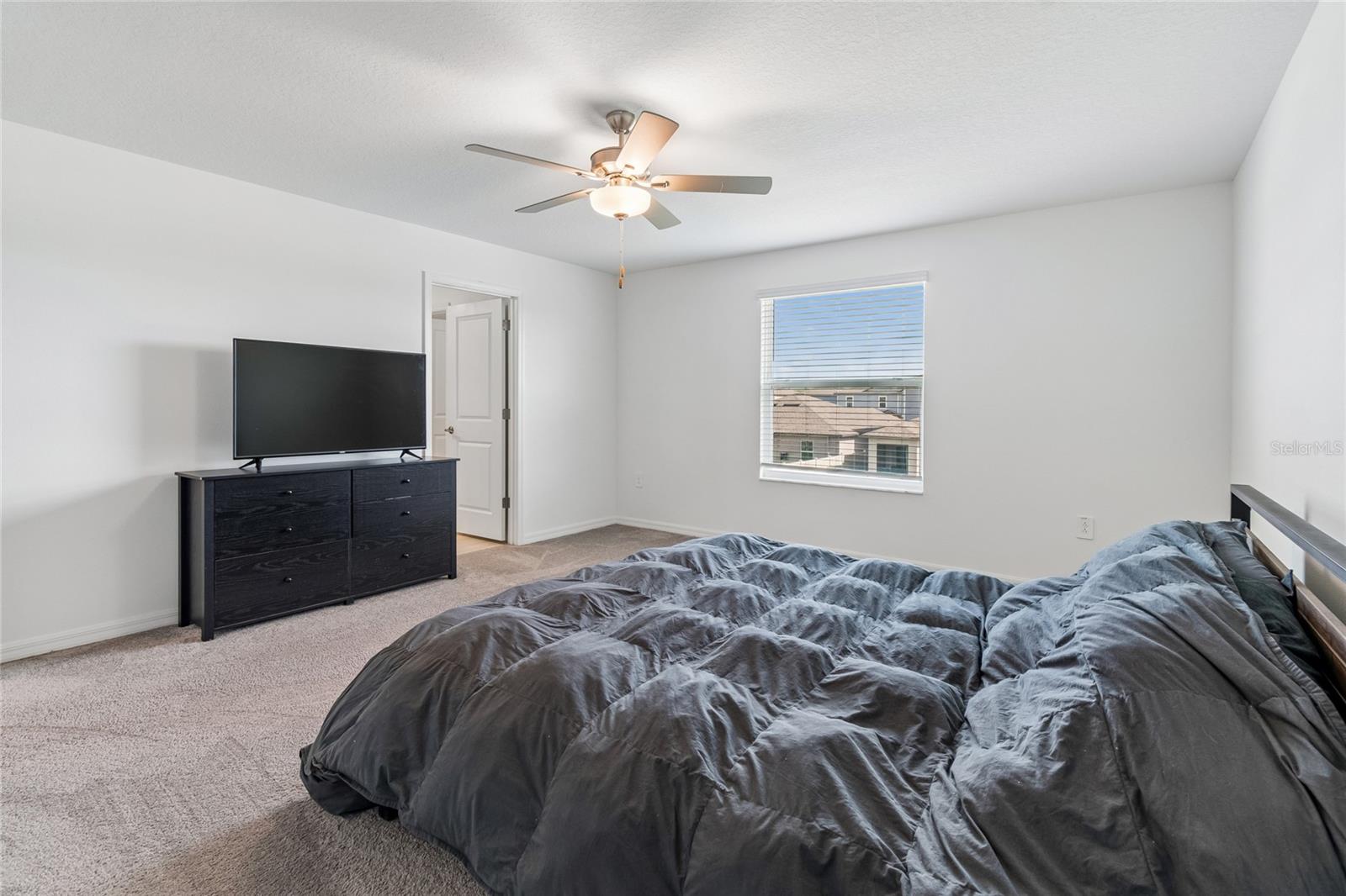 22203 CALISTO WAY — photo 24