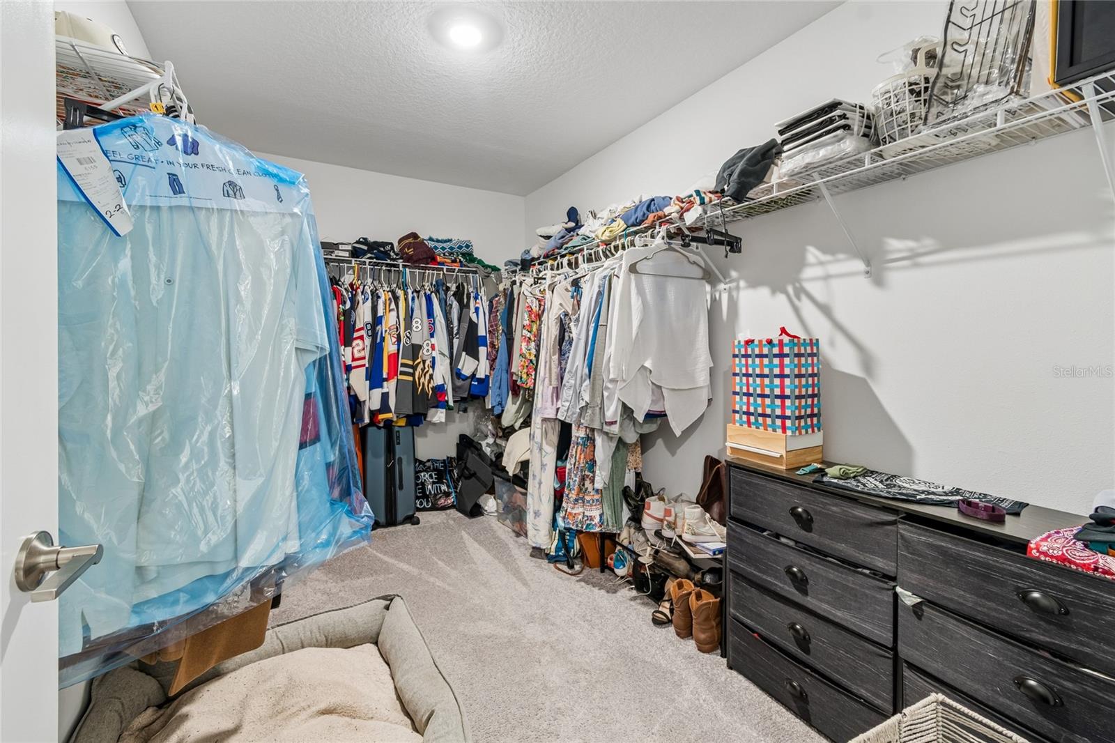 22203 CALISTO WAY — photo 30