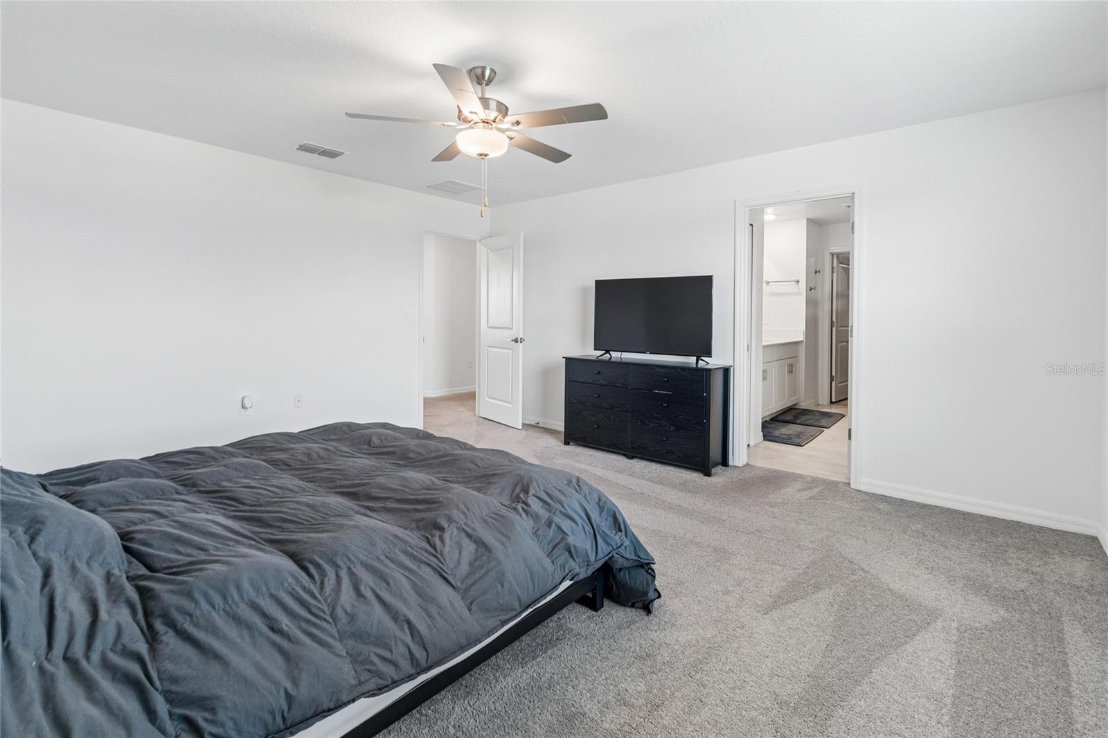 22203 CALISTO WAY — photo 25