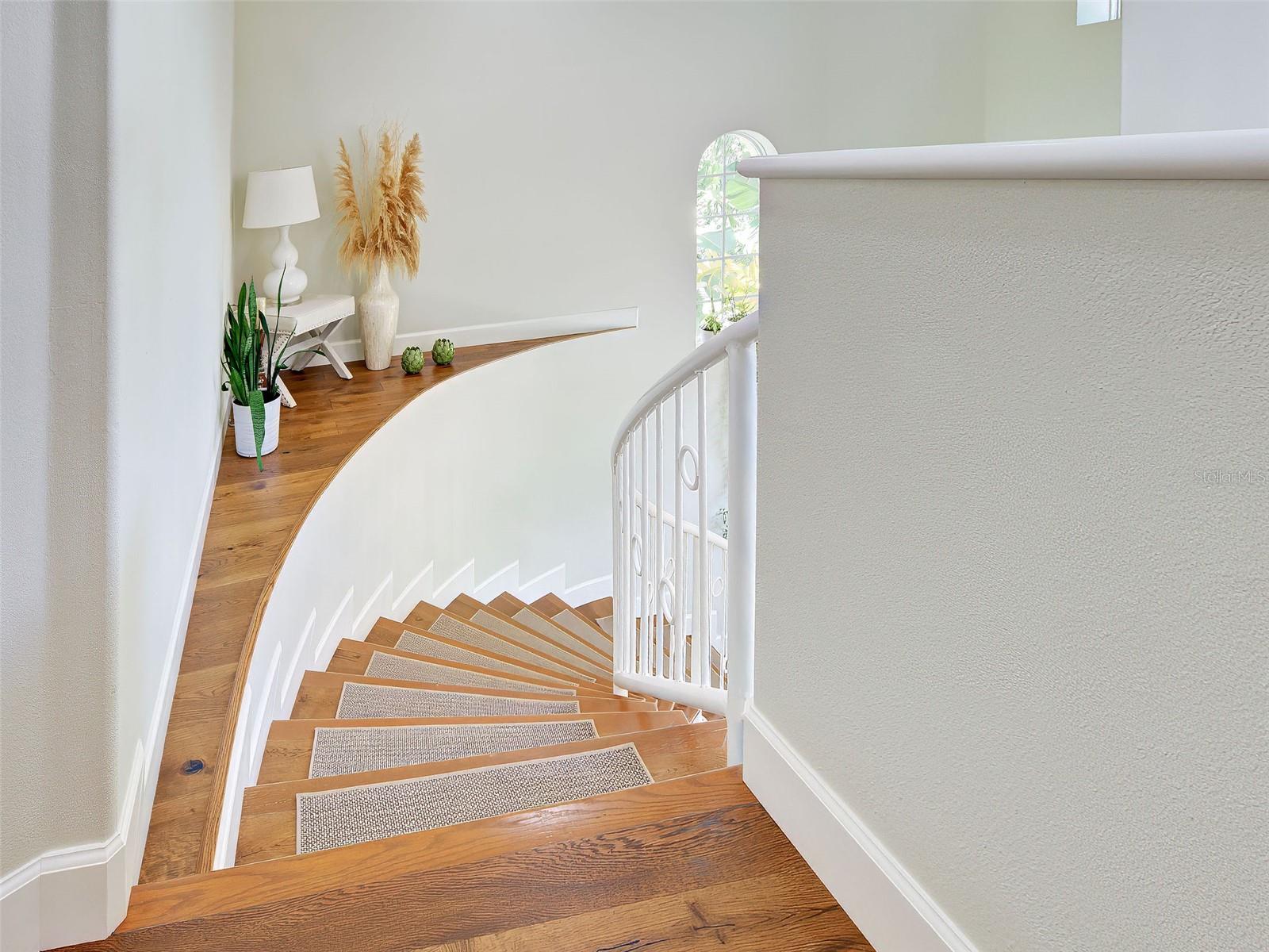 5026 HANGING MOSS LN — photo 50