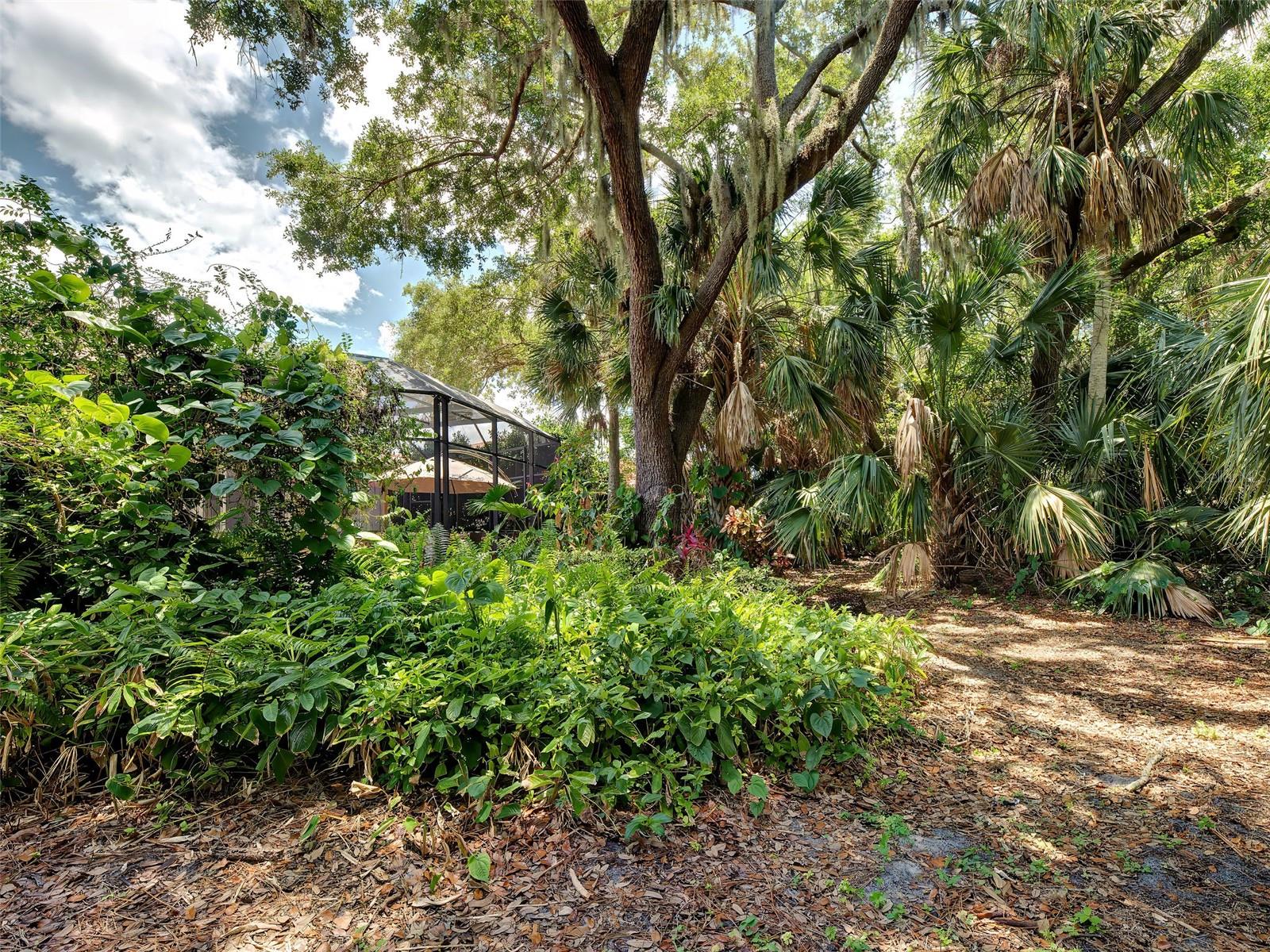 5026 HANGING MOSS LN — photo 64
