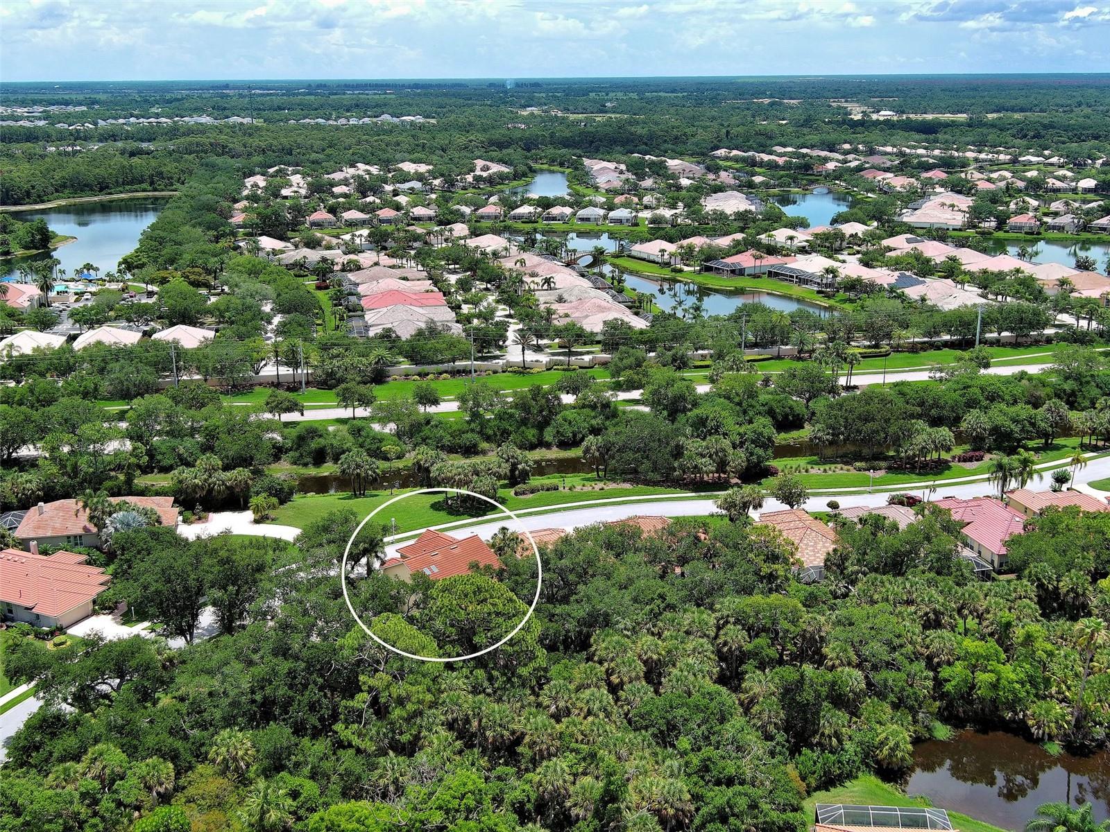 5026 HANGING MOSS LN — photo 70