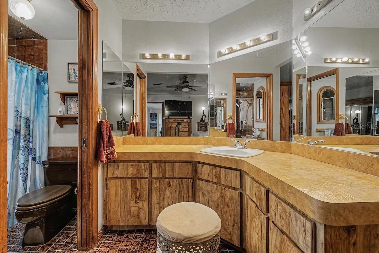 3110 SHADOW OAKS DR — photo 19
