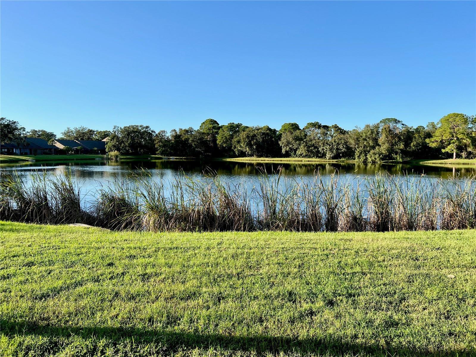 7186 LAKESIDE DR — photo 20
