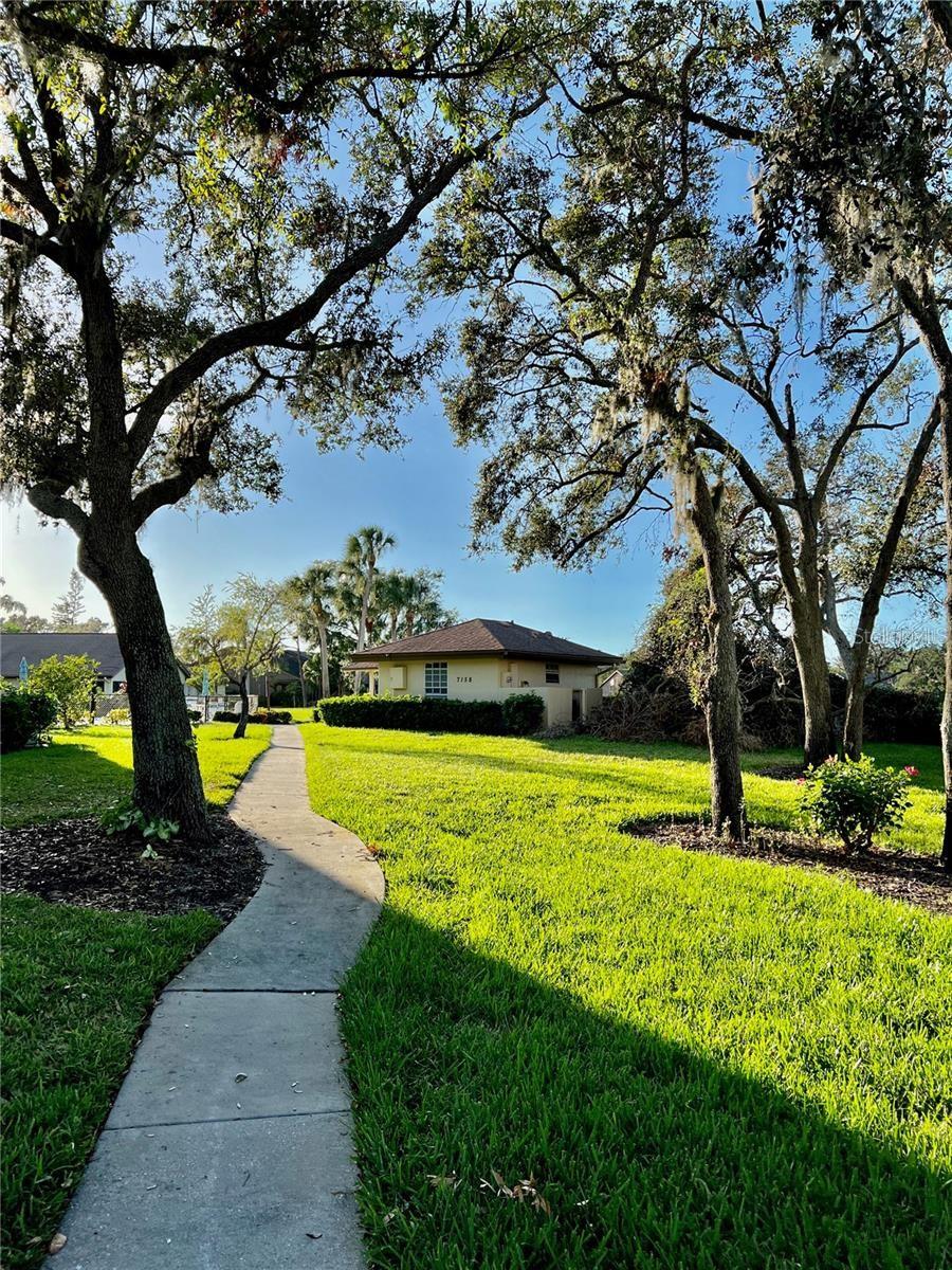 7186 LAKESIDE DR — photo 19