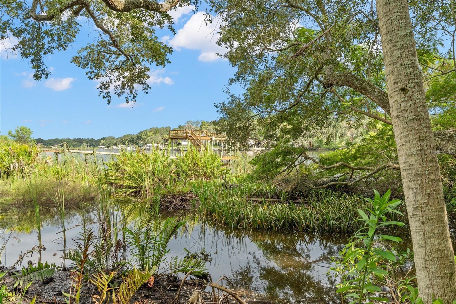 RIVERVIEW DR — photo 9