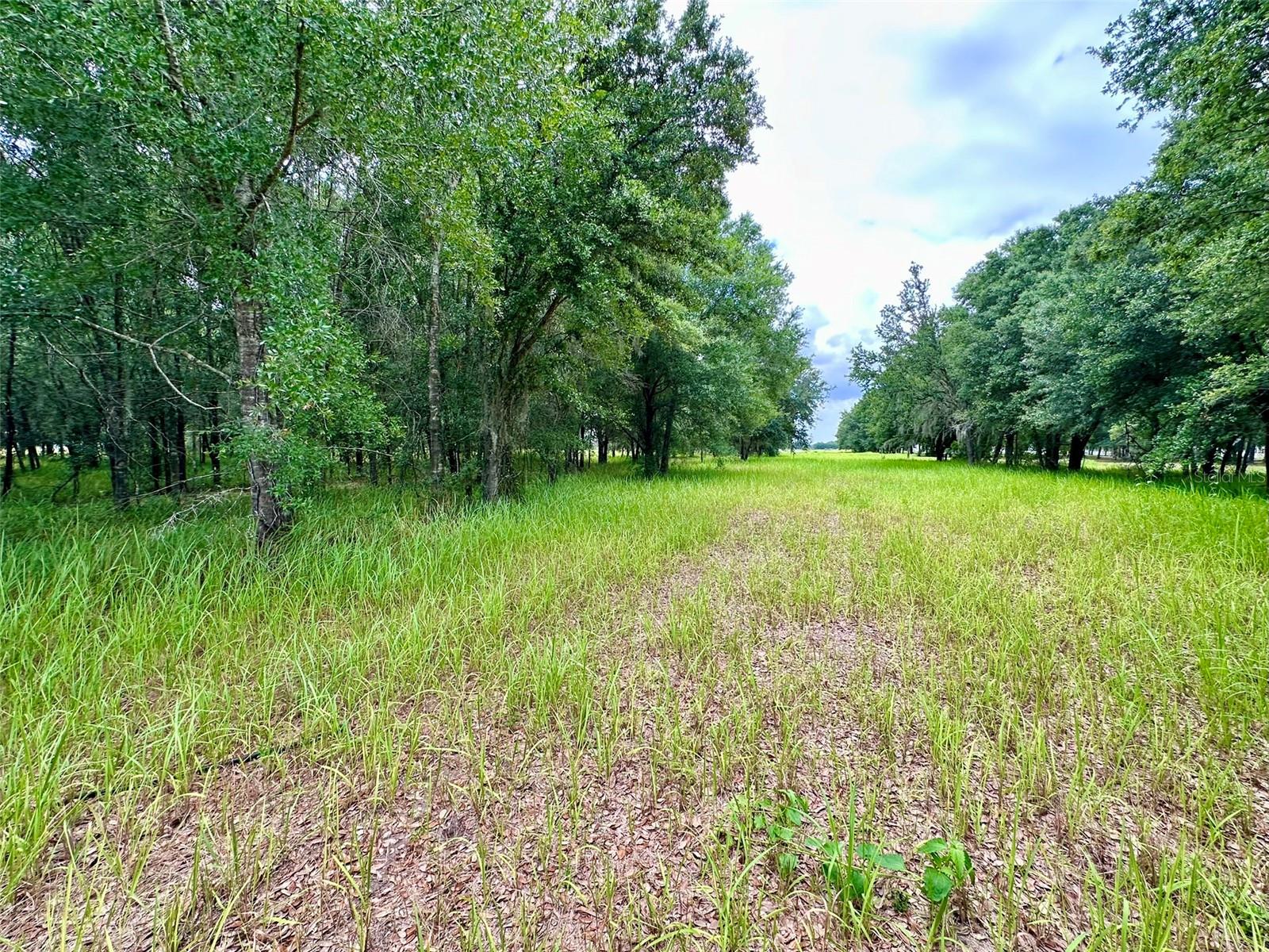 4946 WAUCHULA RD — photo 5
