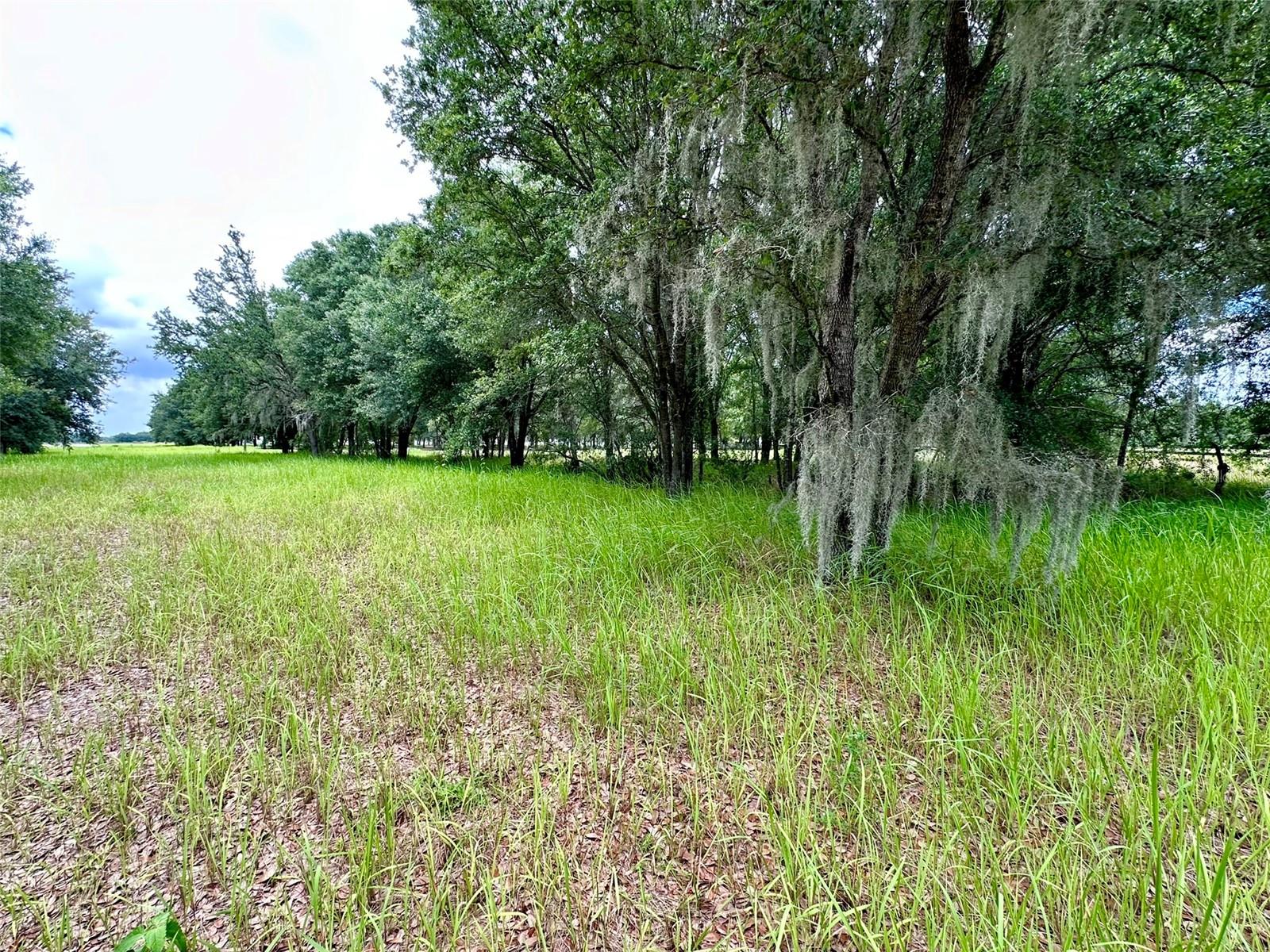 4946 WAUCHULA RD — photo 6