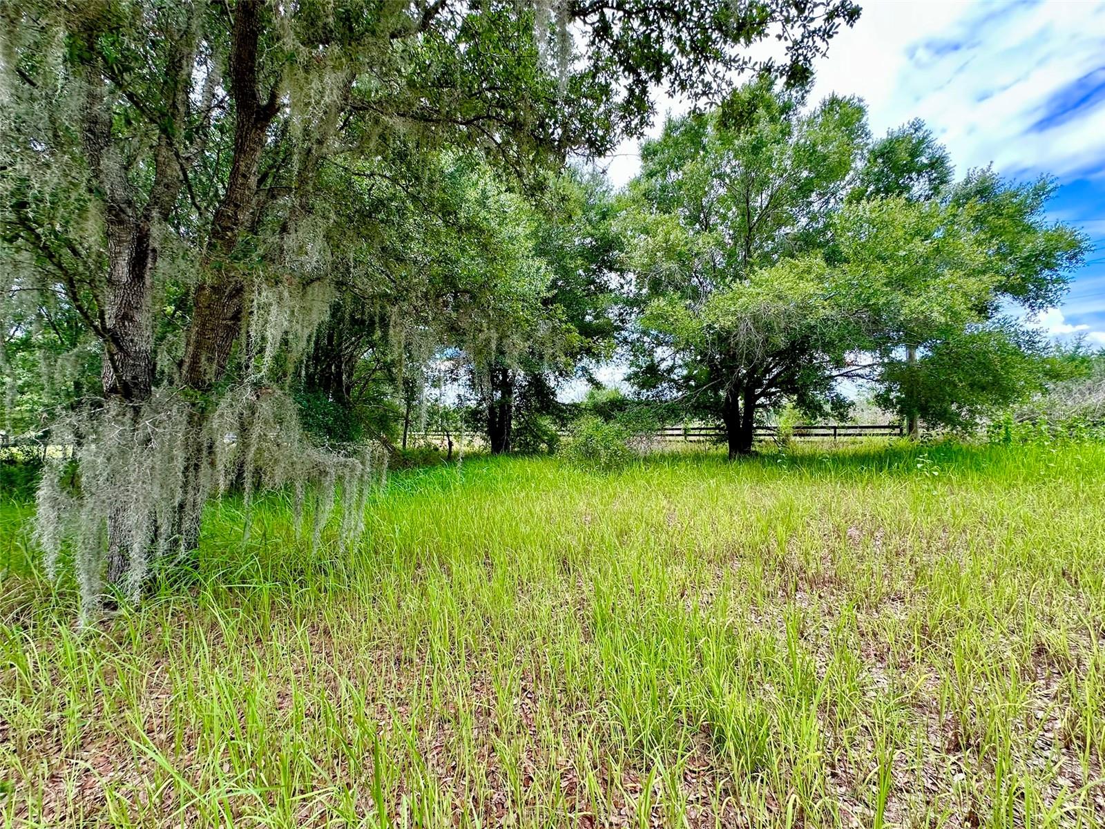4946 WAUCHULA RD — photo 7