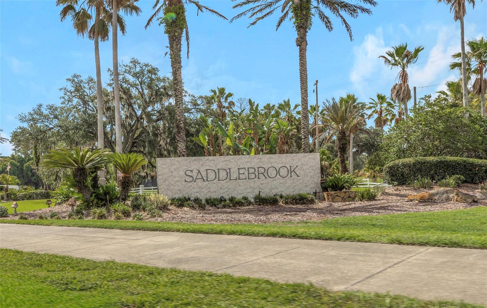 5331 SAND CRANE CT — photo 63