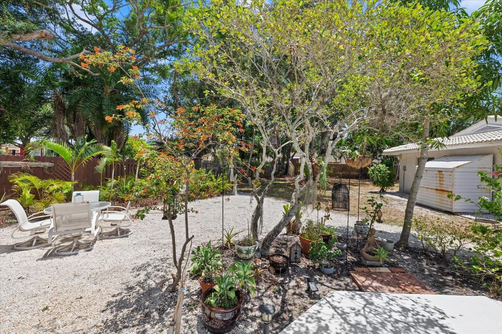 4305 CHINABERRY CIR — photo 22