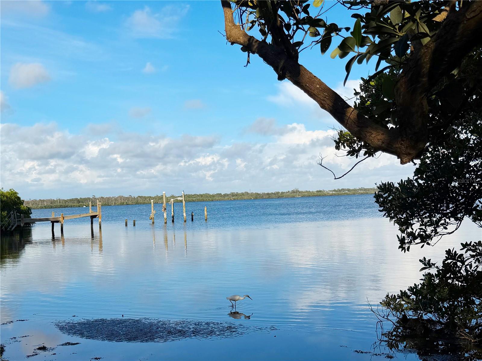 7025 MANASOTA KEY RD — photo 41