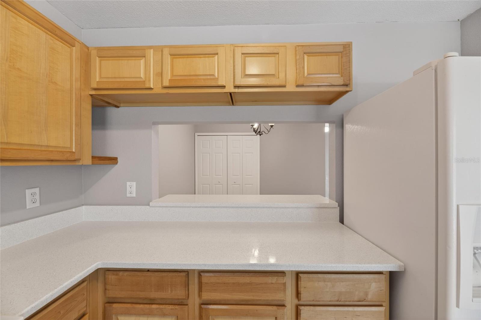2258 FLUORSHIRE DR — photo 20