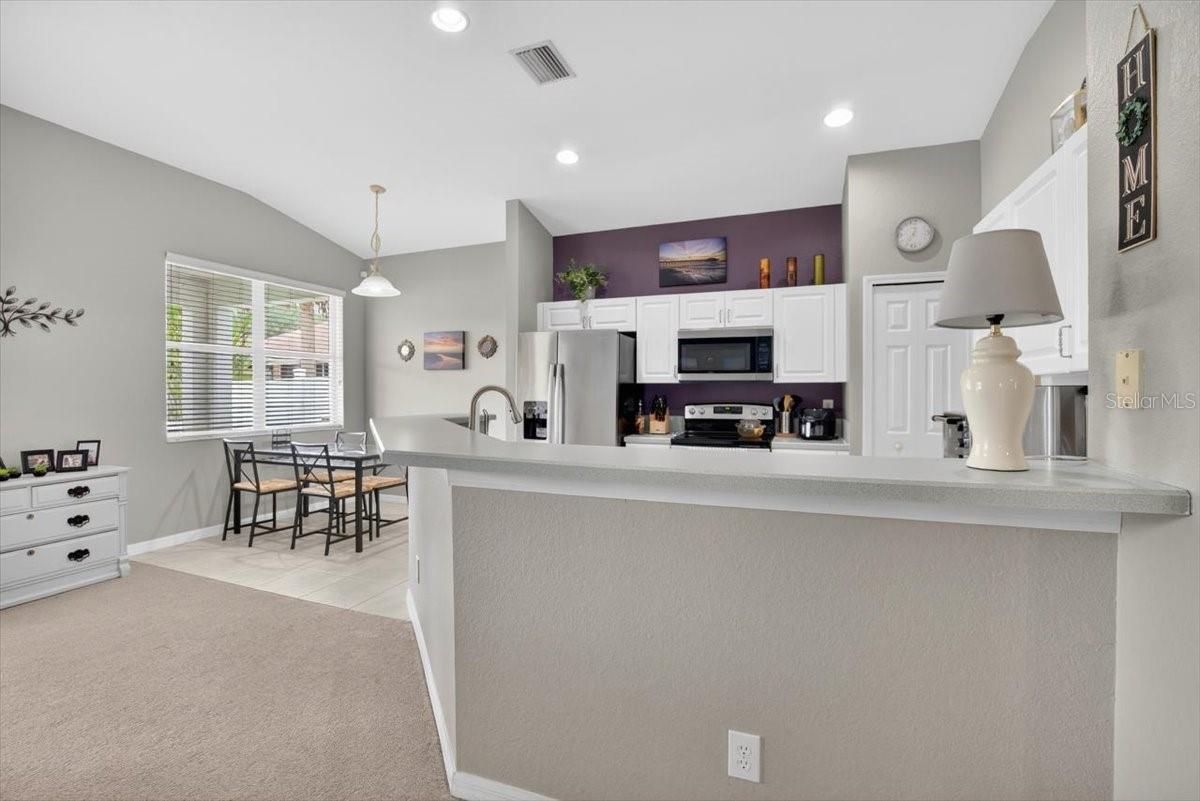 11023 HOLLY CONE DR — photo 20