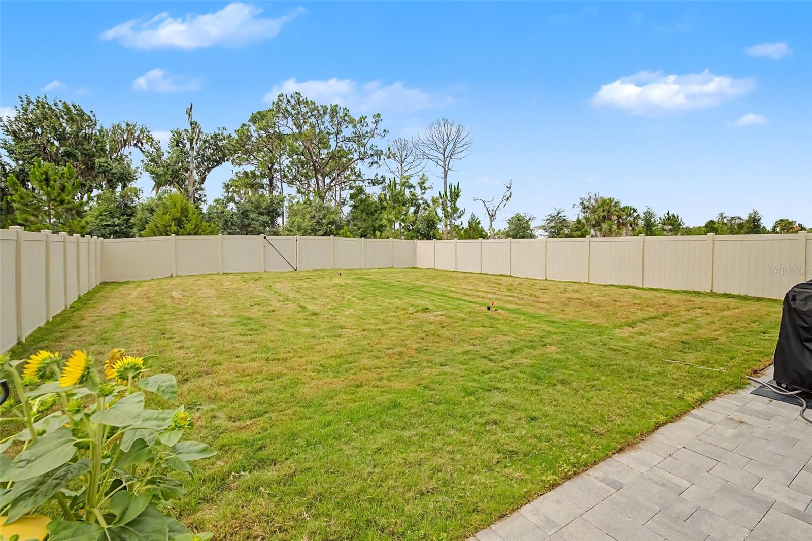 17315 WHEATBERRY BLVD — photo 54