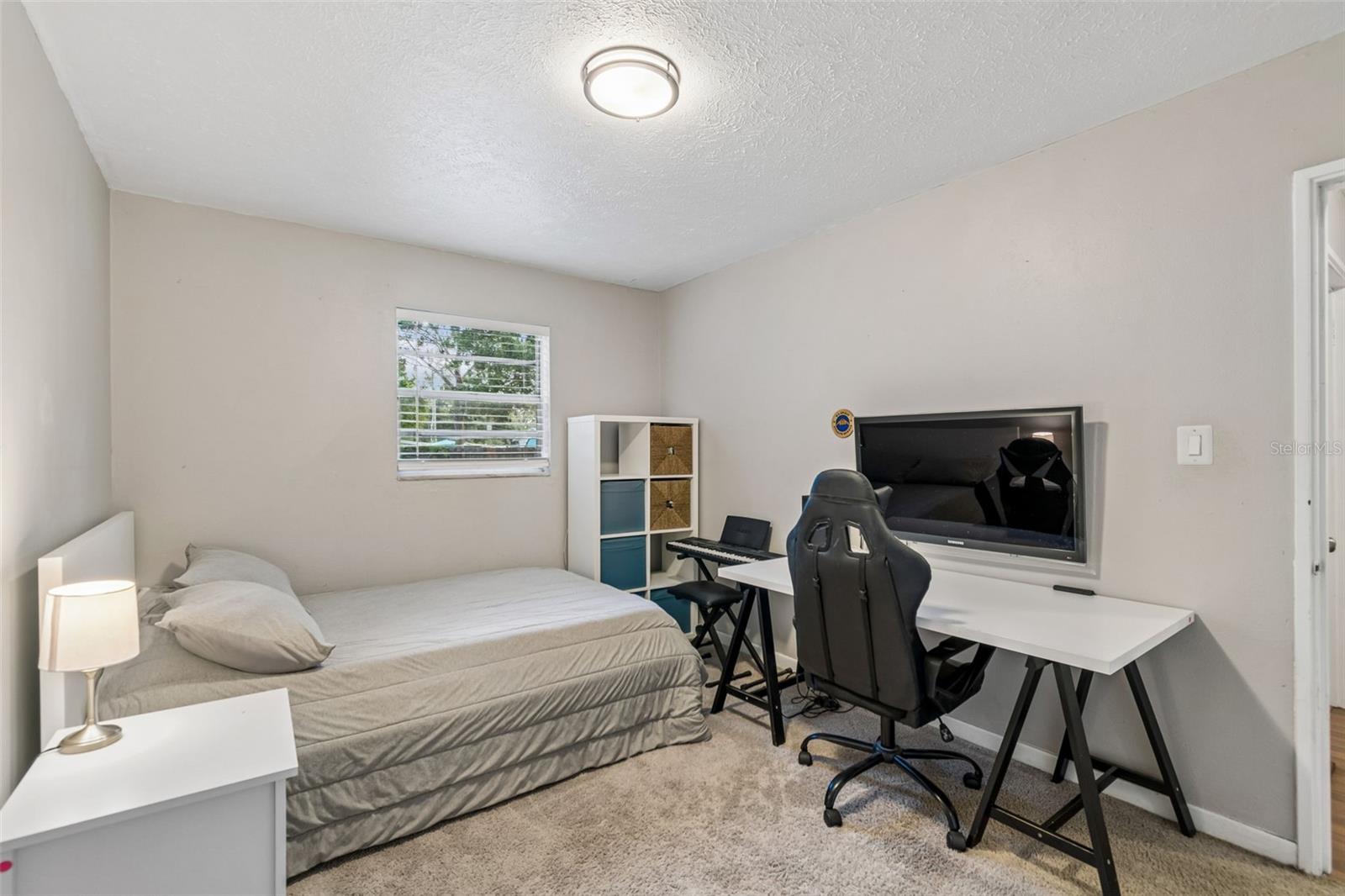 4437 W BAY AVE — photo 24