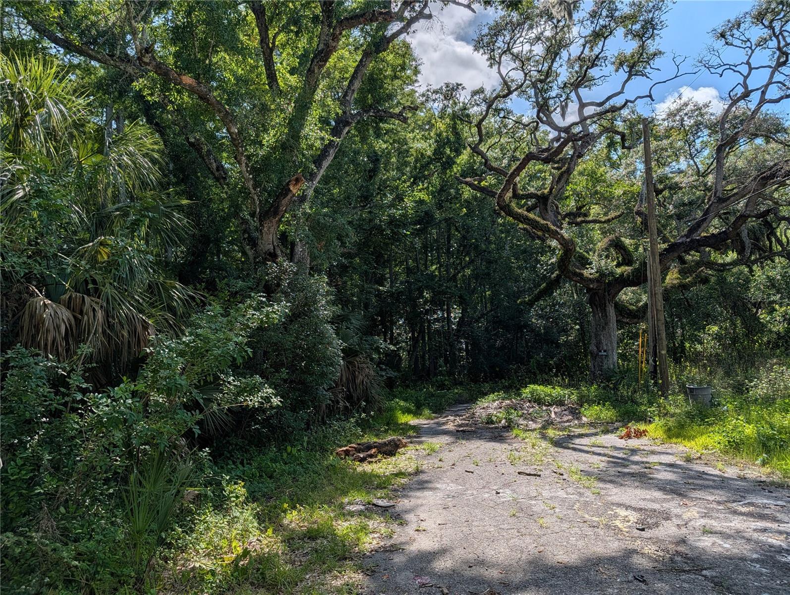 TBD KIOWA — photo 2