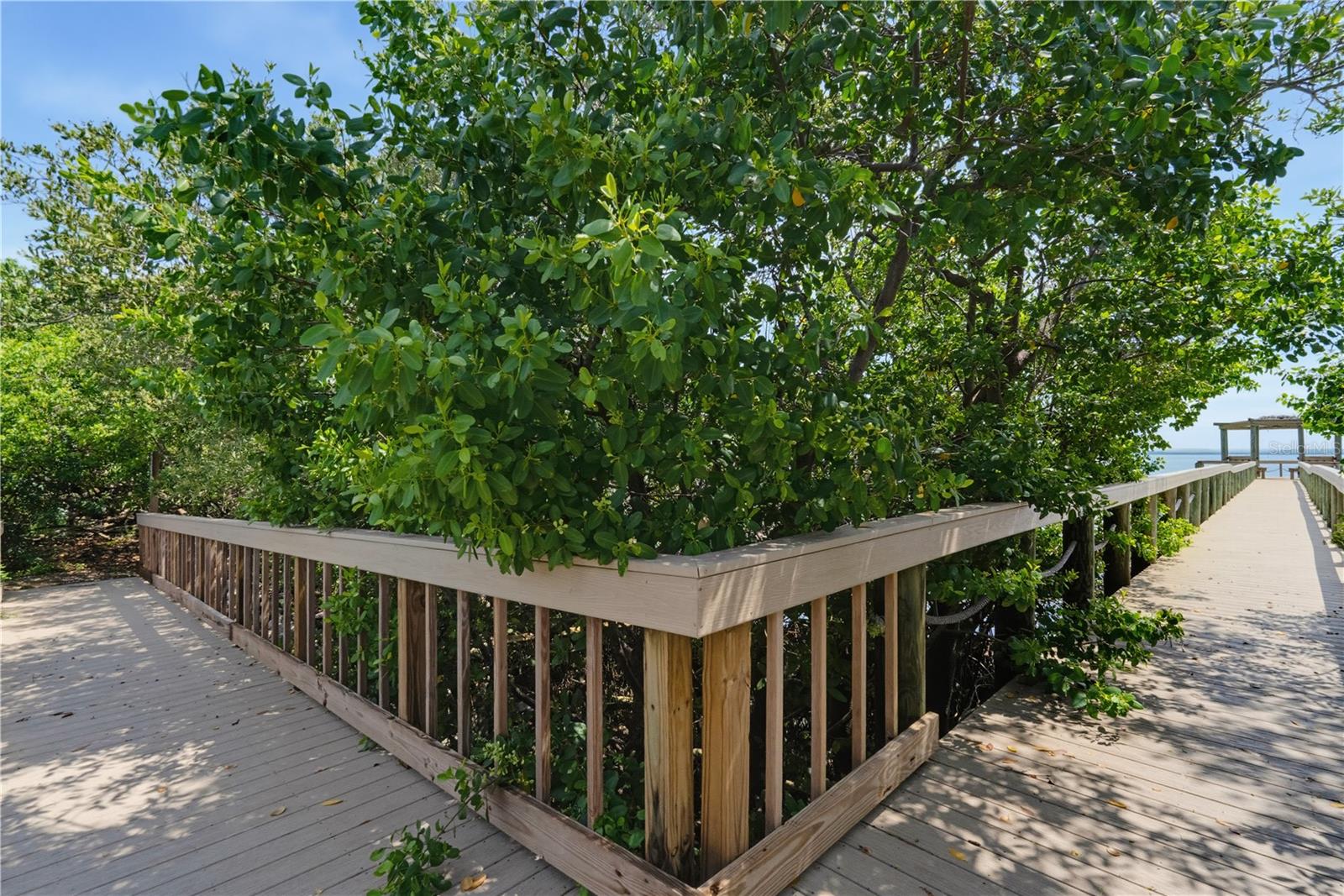 2889 BAYSHORE TRAILS DR — photo 88