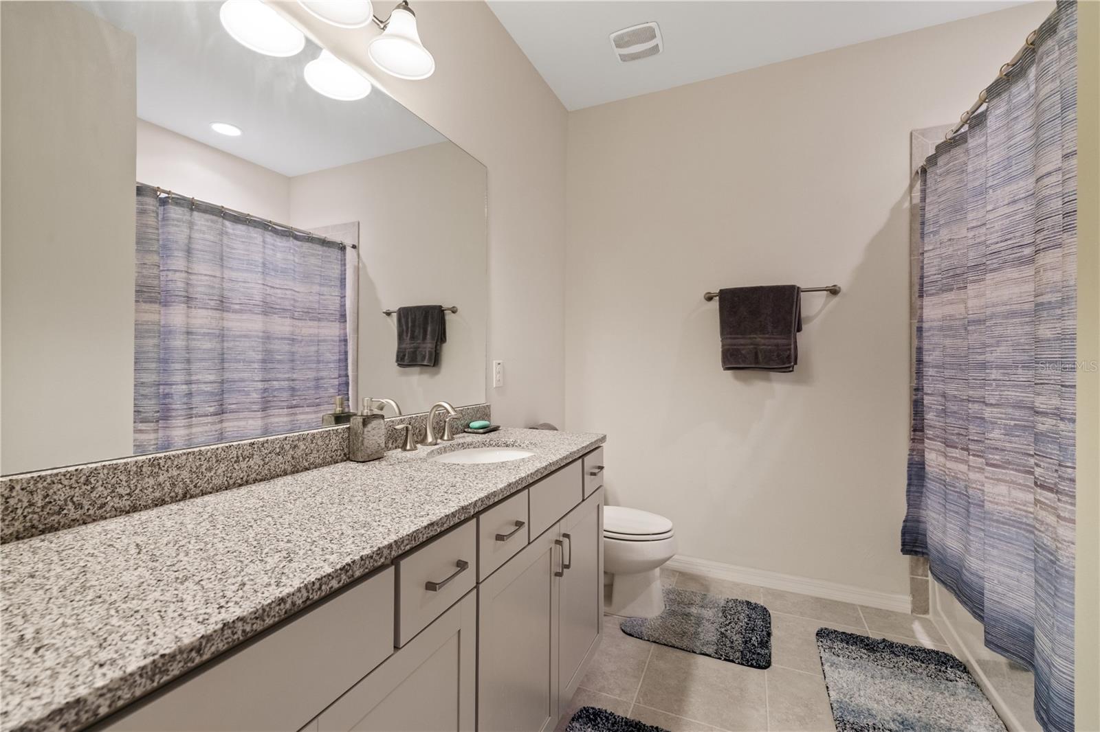 11608 DUBLIN GRAFTON DR — photo 42