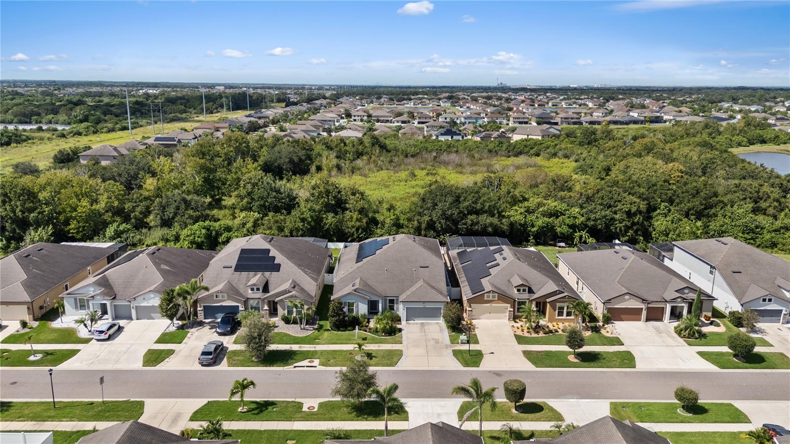 11608 DUBLIN GRAFTON DR — photo 77