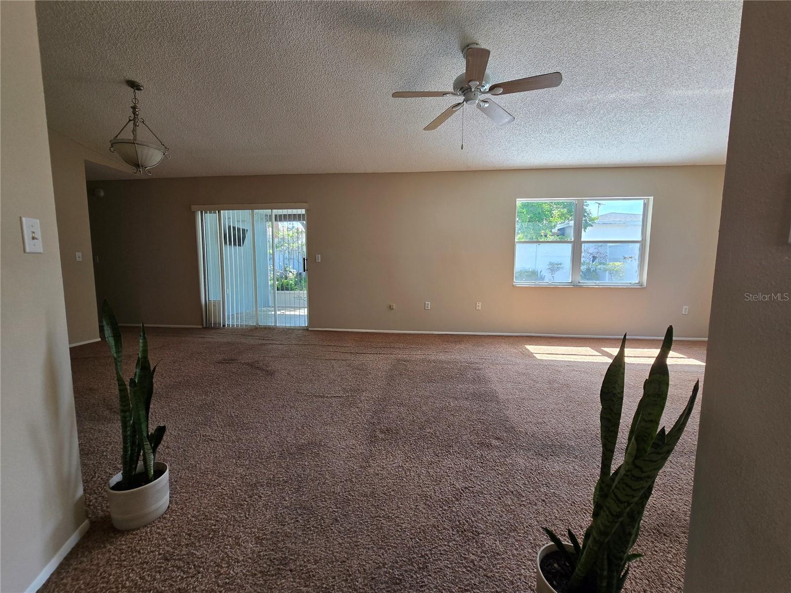 9836 MOREHEAD LN — photo 5