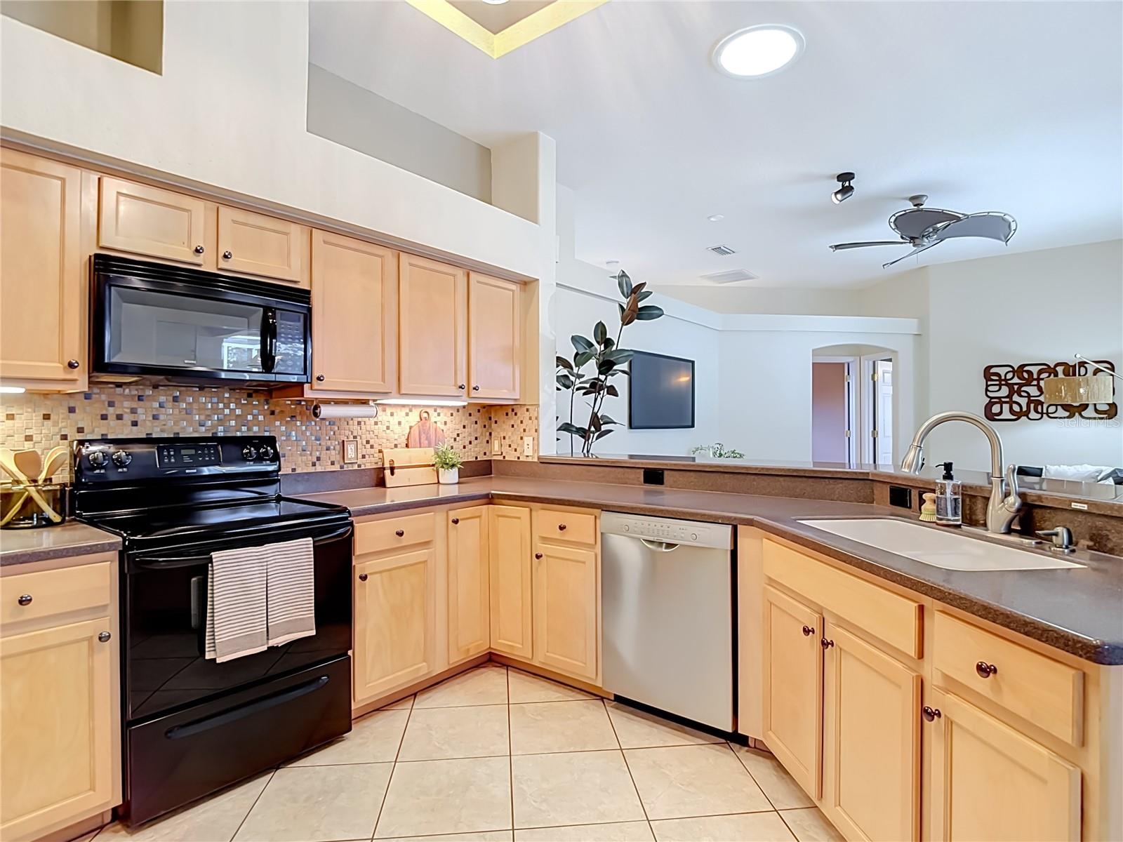 21629 SILVER BAY PL — photo 8