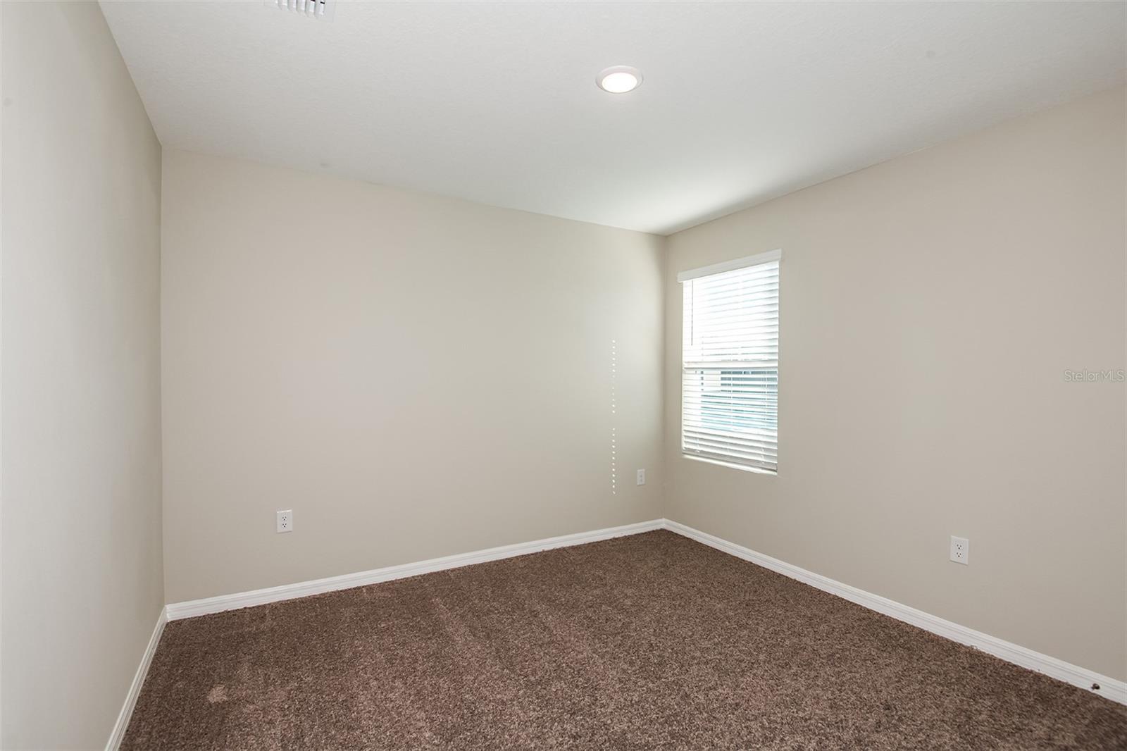 36602 SAGEMOOR DR — photo 16