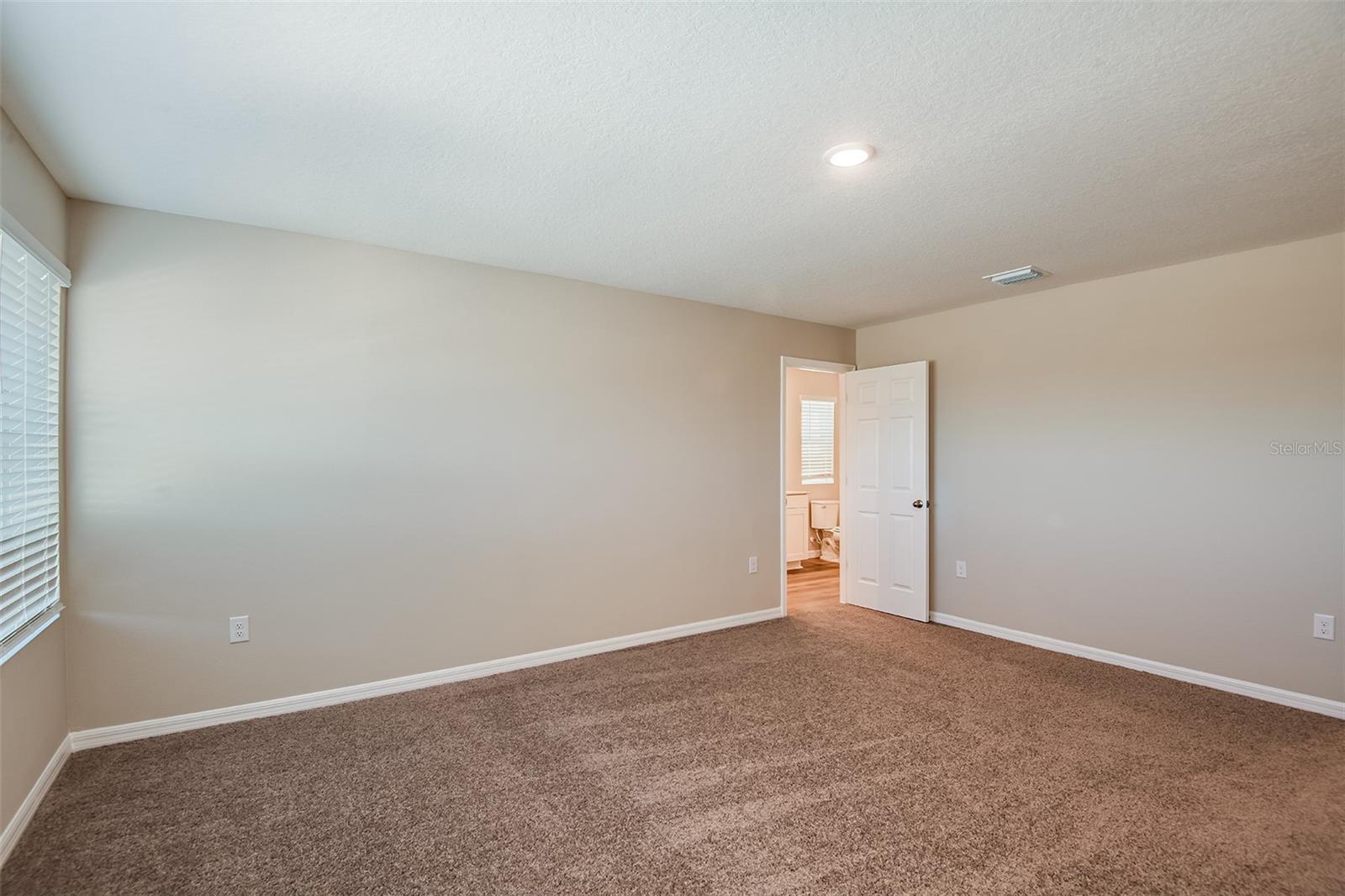 36602 SAGEMOOR DR — photo 5