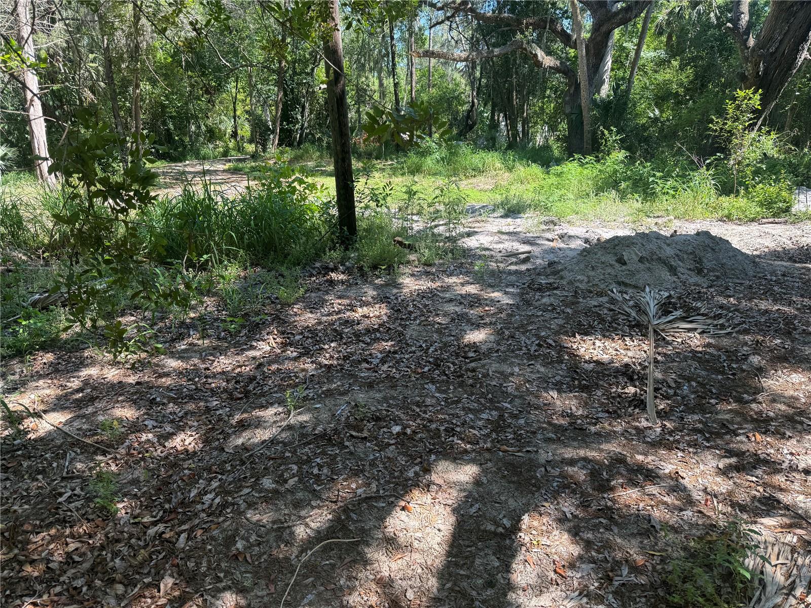 3621 ELFERS PKWY — photo 9