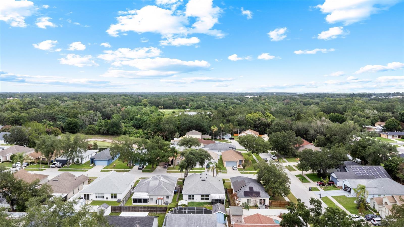 11019 CONNACHT WAY — photo 41