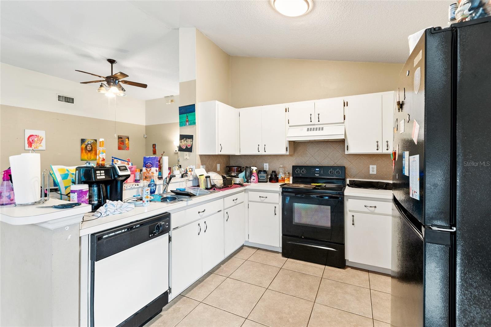 11019 CONNACHT WAY — photo 11