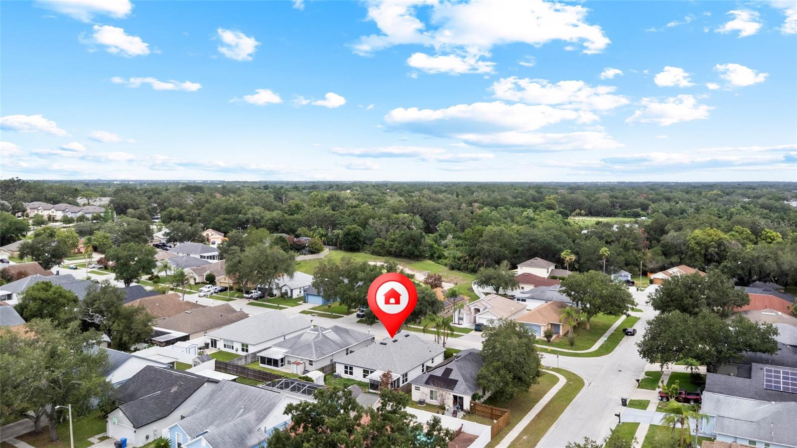 11019 CONNACHT WAY — photo 42