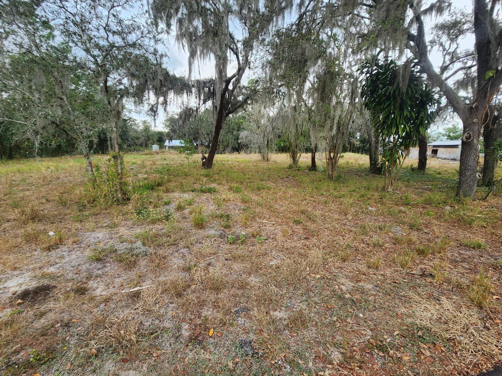 1409 WILKINSON DR — photo 8