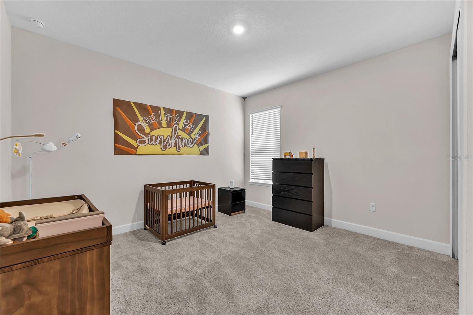 33372 LANDSMAN LOOP — photo 9