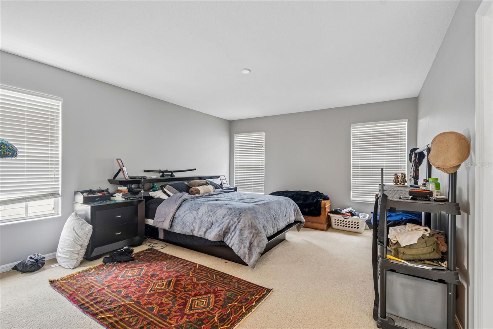 5017 WHITE SANDERLING CT — photo 24