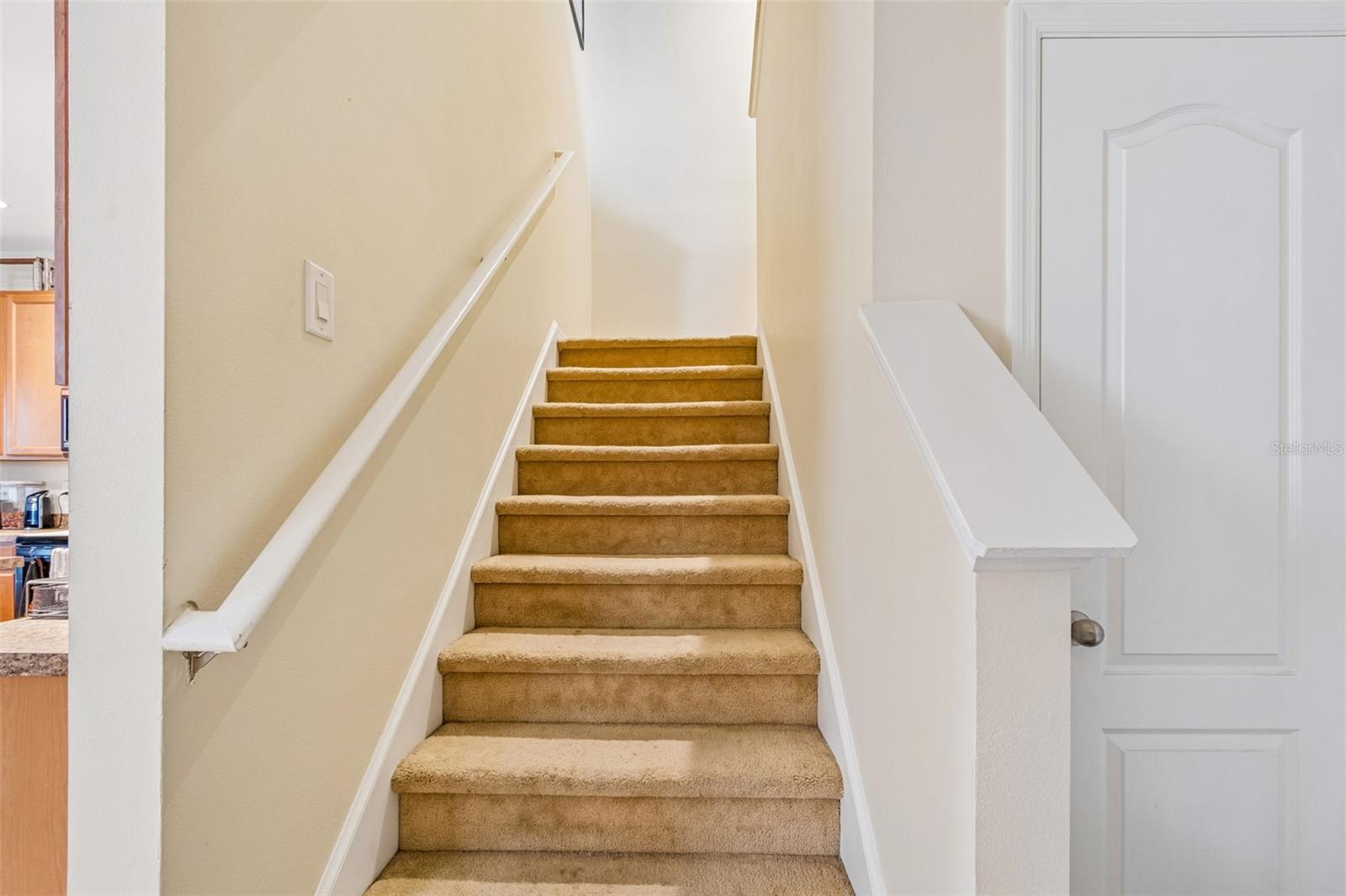 5017 WHITE SANDERLING CT — photo 22