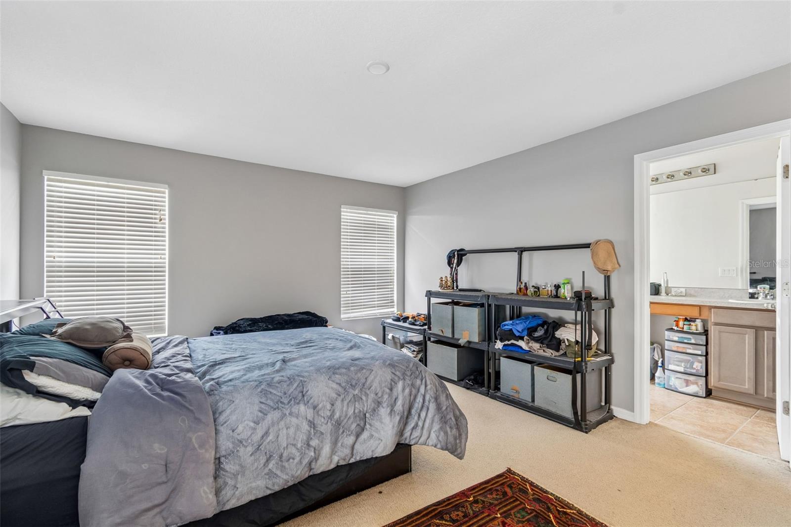 5017 WHITE SANDERLING CT — photo 25