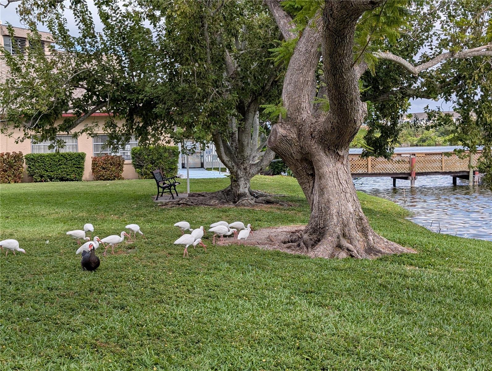 4129 LAKE BAYSHORE DR #C-501 — photo 29