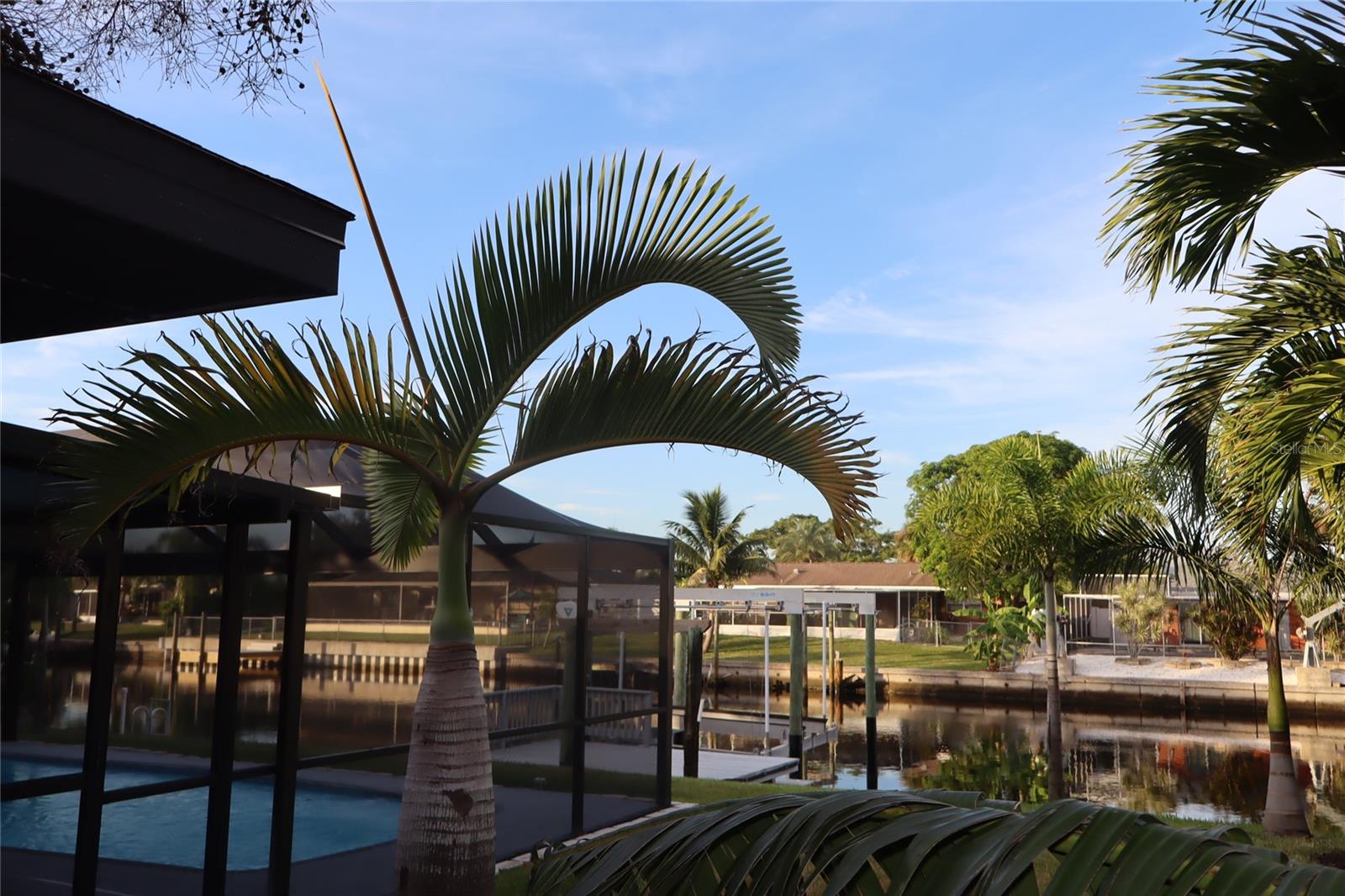 1019 SPINDLE PALM WAY — photo 80