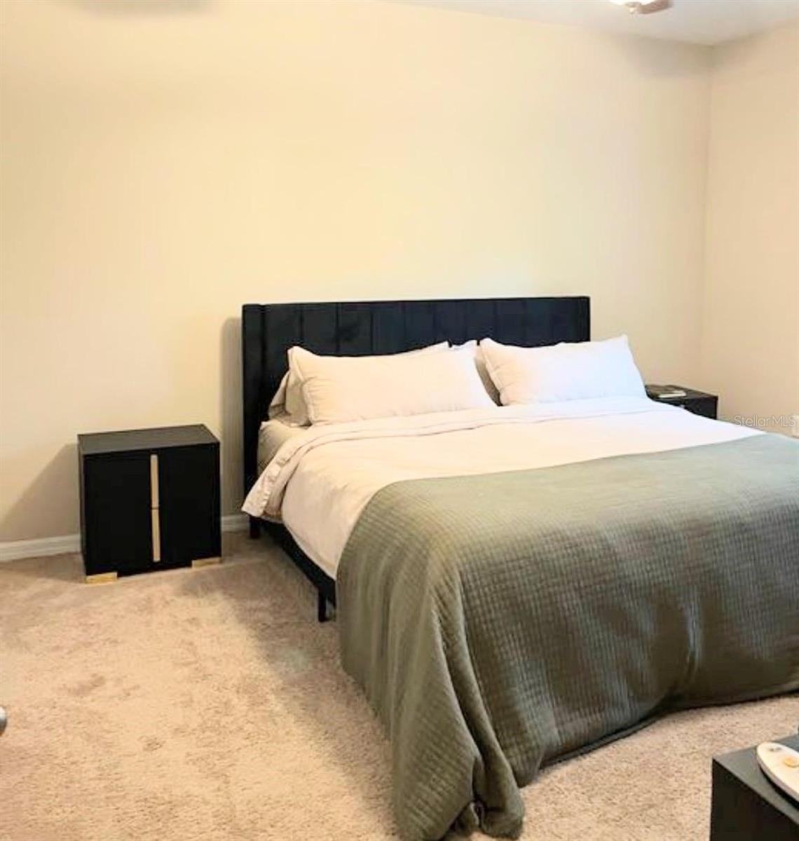 13805 RIVER FISH CT — photo 9