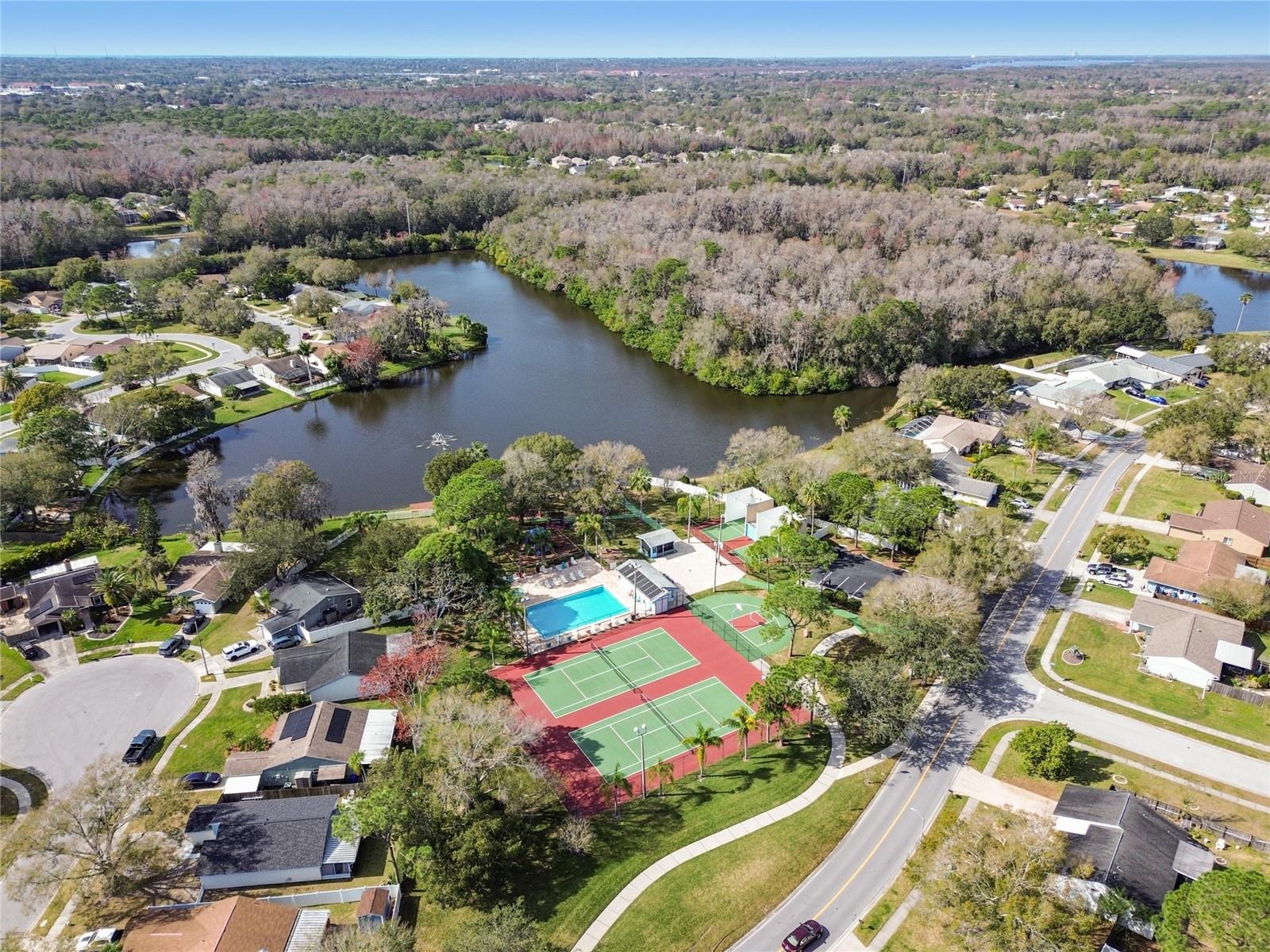 133 SABAL CT #G — photo 50