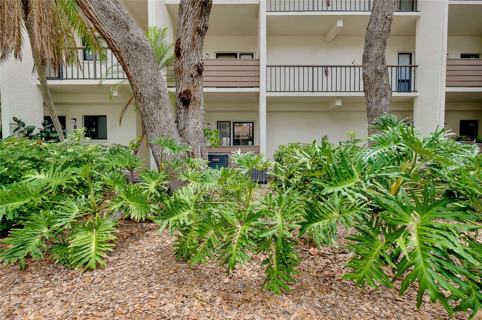 1186 BIRD BAY WAY #109 — photo 44